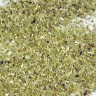 Yerba Mate (Green) OG