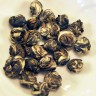 Jasmine Pearls – Organic
