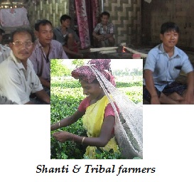 Tribal tea growers-label